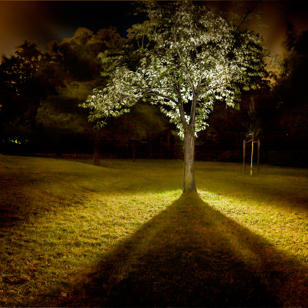 Nachts im Park