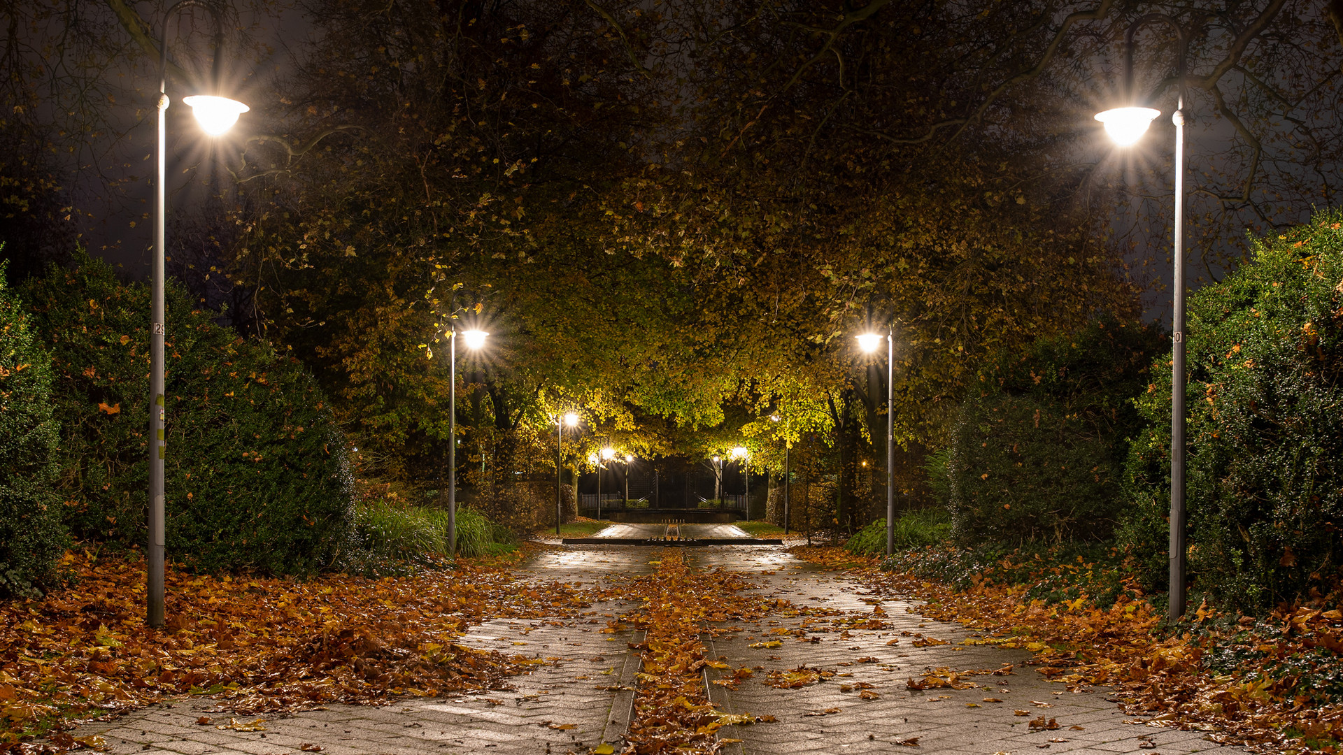 Nachts im Park