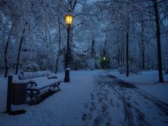 Nachts im Park