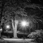 Nachts im Park