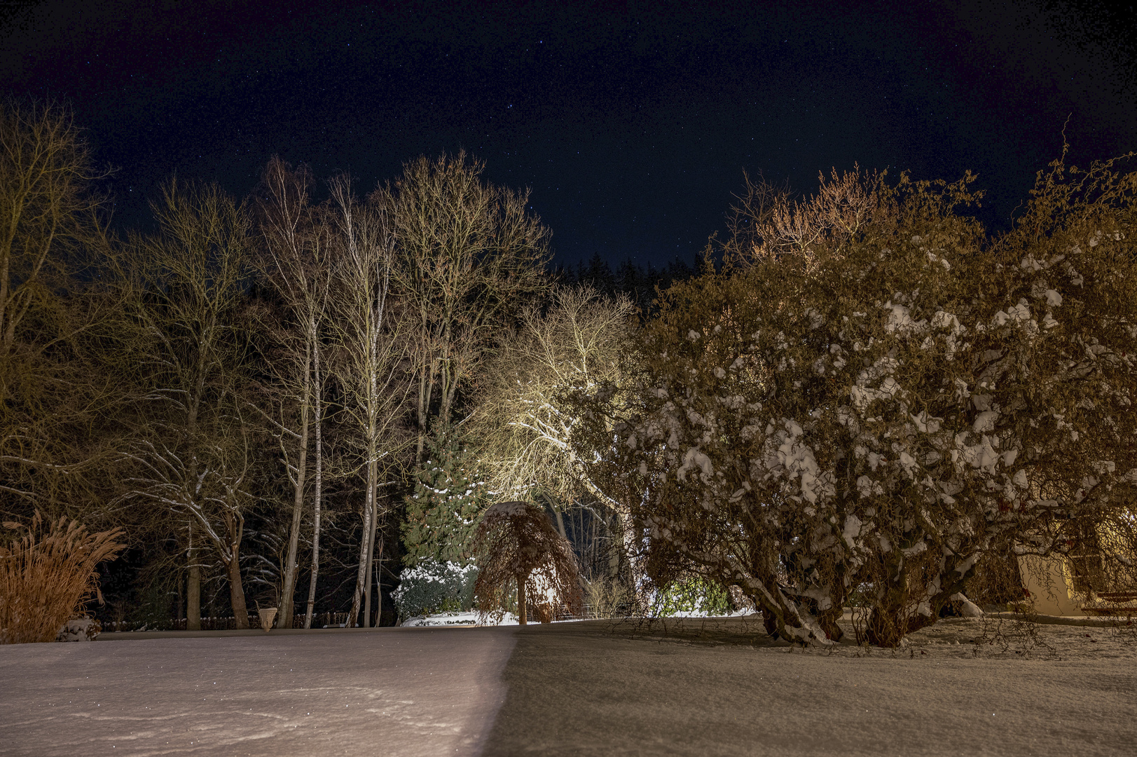 Nachts im Park