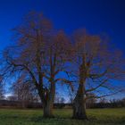 Nachts im Park von Criewen