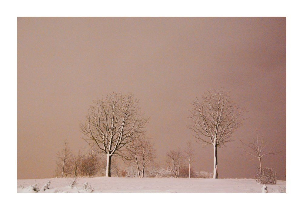 Nachts im Schnee von Christopher Wolff 