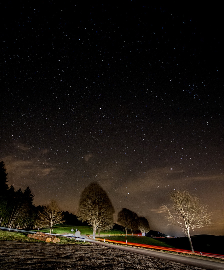 Nachts im Schwarzwald