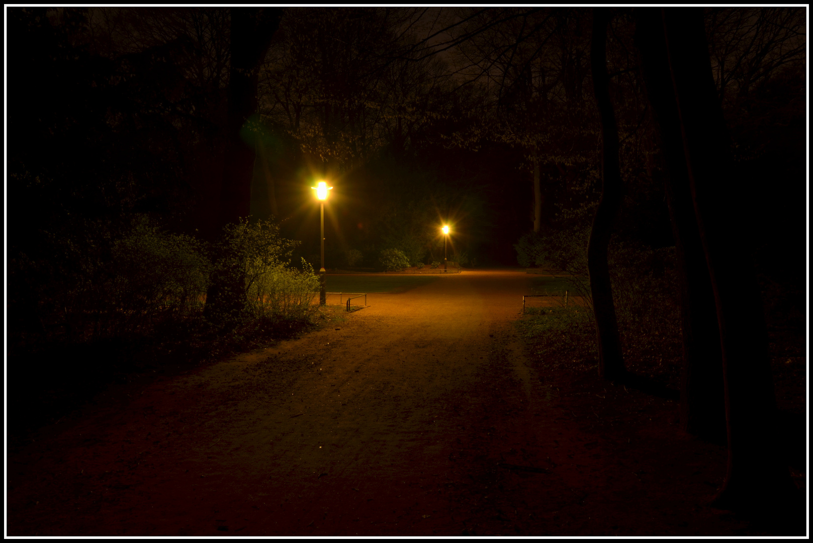 Nachts im Stadtpark