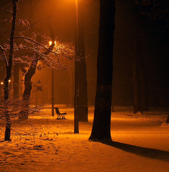 Nachts im Stadtpark, die Laterne....