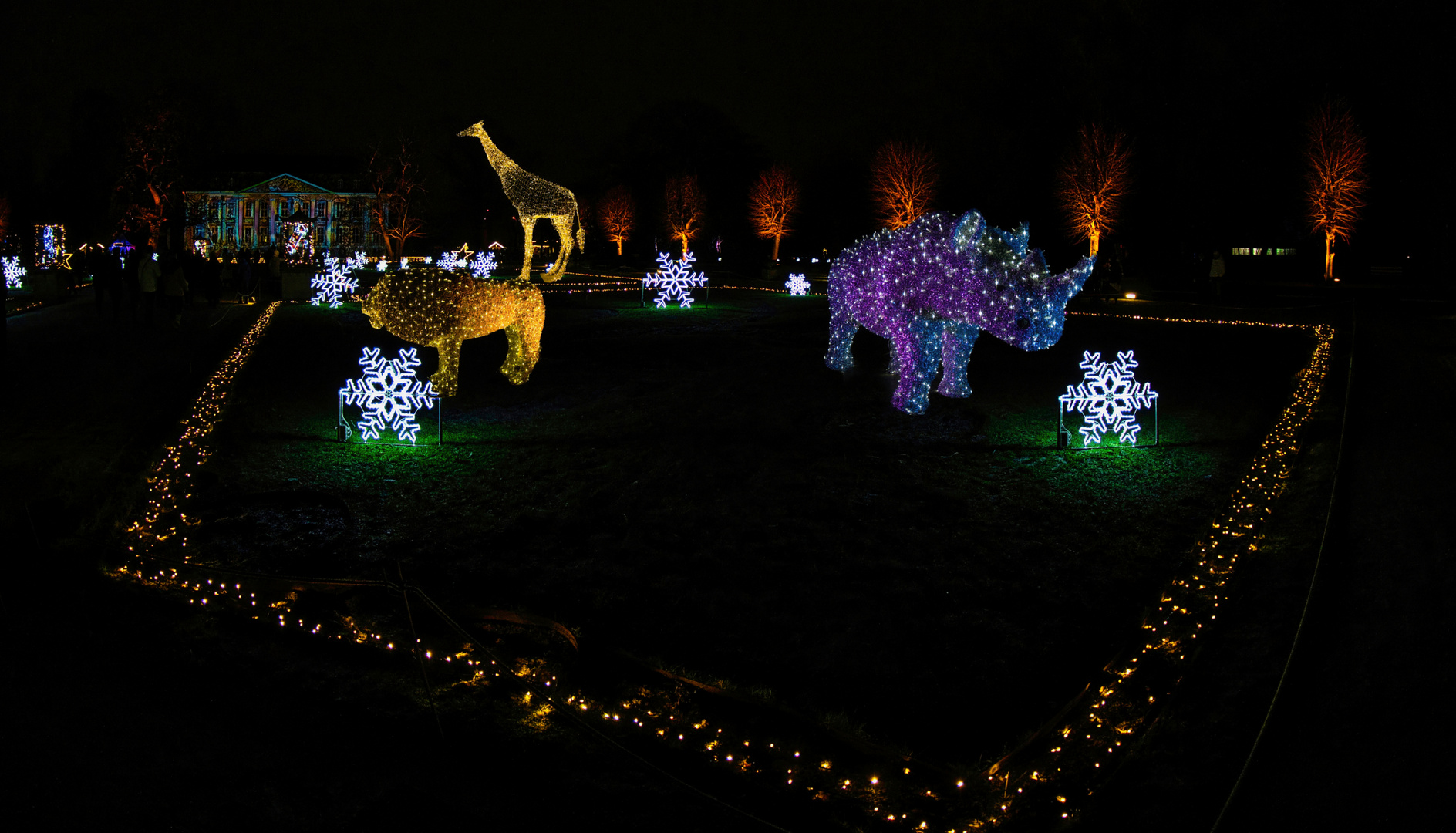 Nachts im Tierpark 