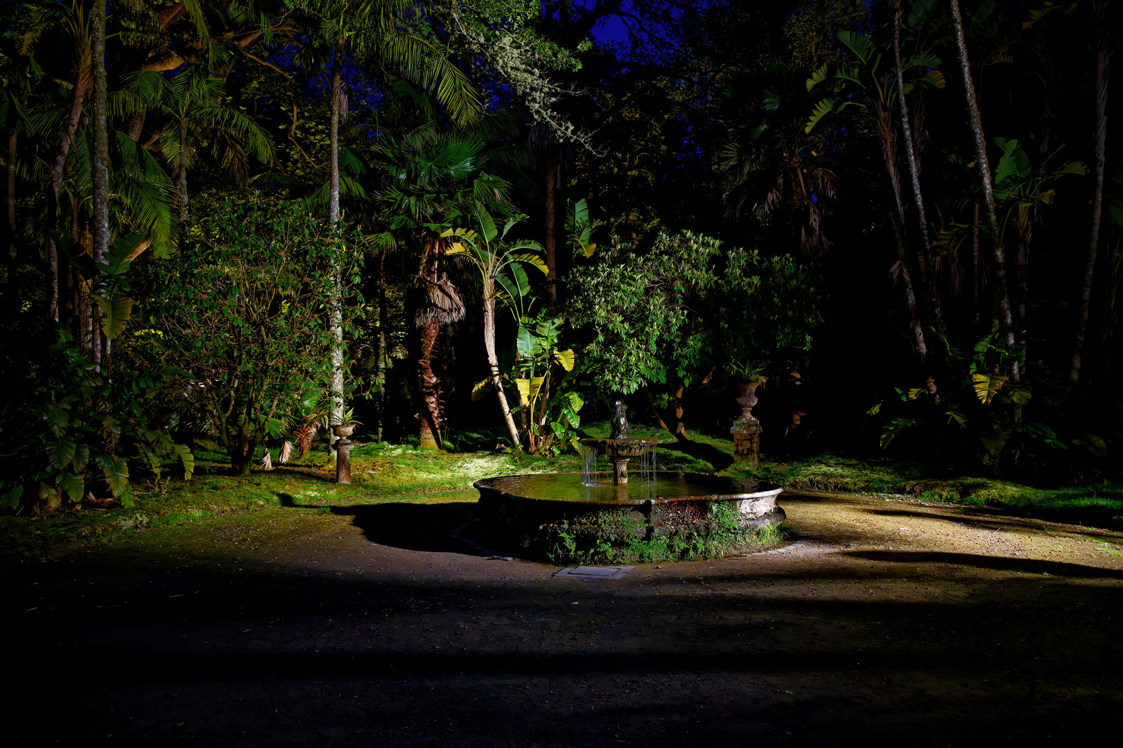 Nachts im tropischen Park