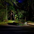 Nachts im tropischen Park