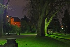 Nachts in den Koblenzer Rheinanlagen