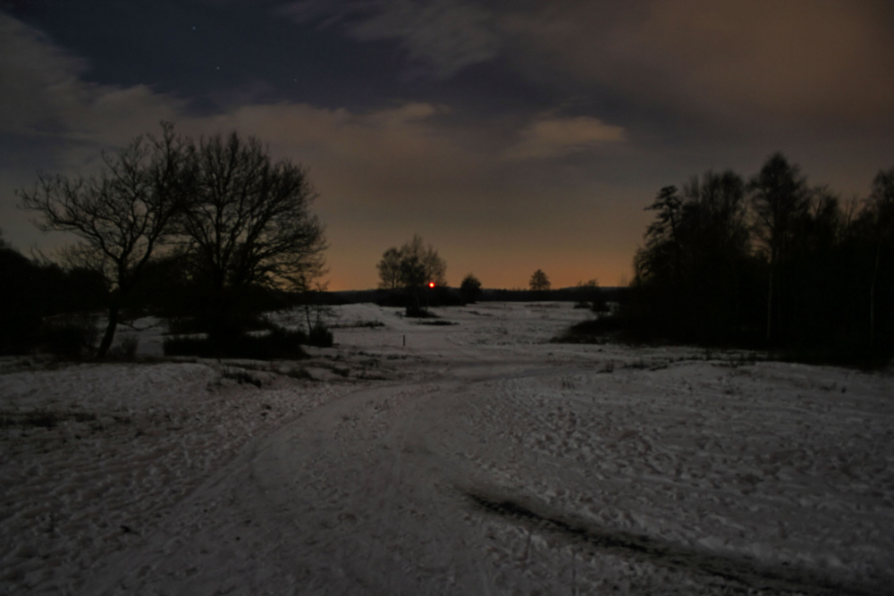 Nachts in der Wahner Heide