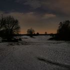 Nachts in der Wahner Heide