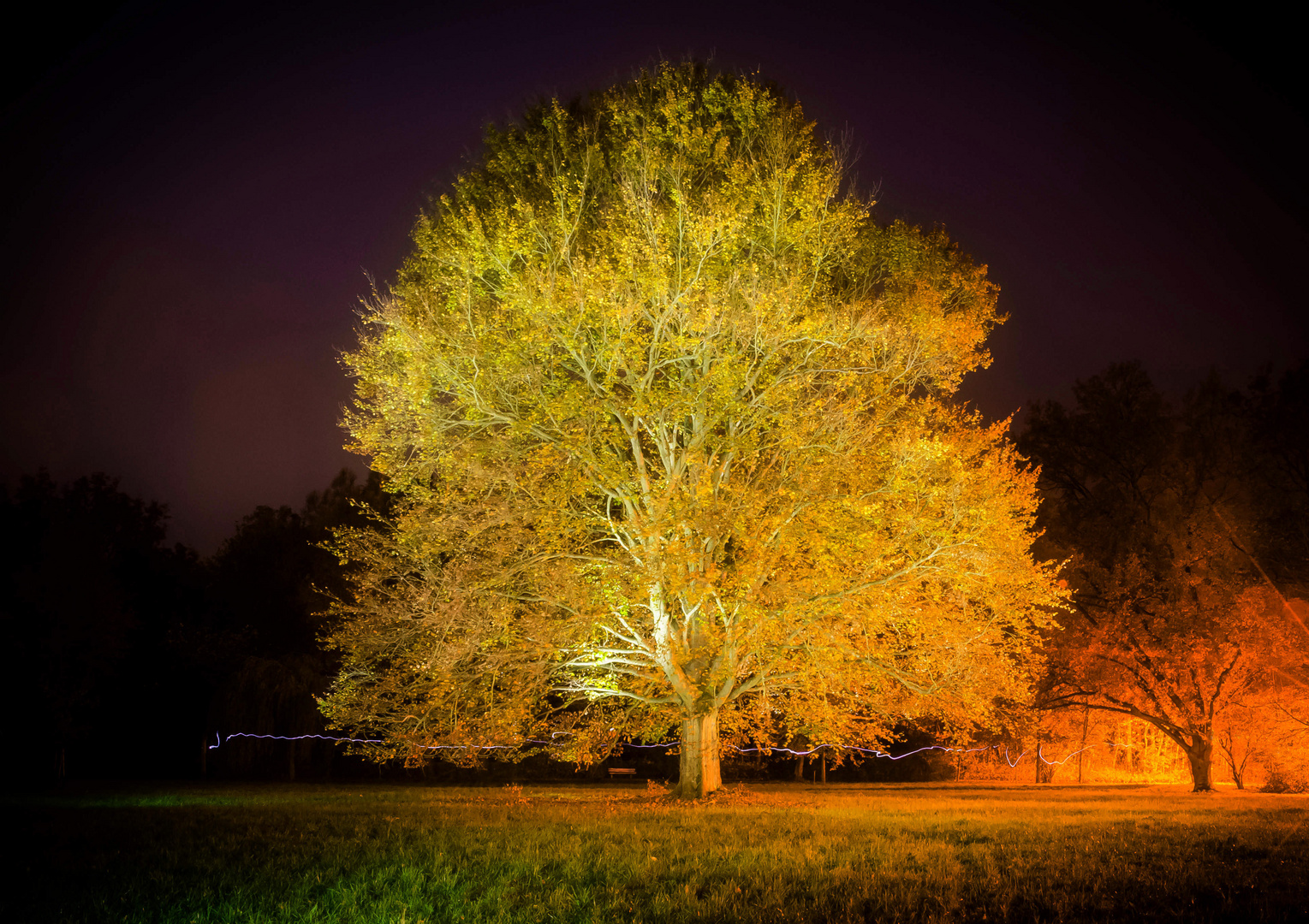 Nachts in einen Park.