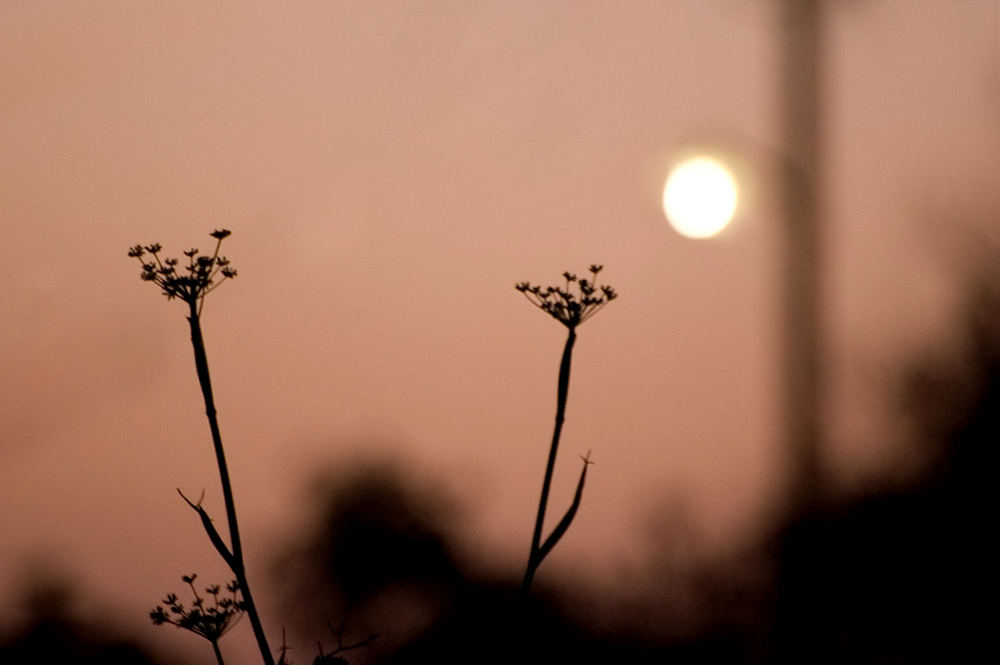 nachts öffnet der Mond eine Tür