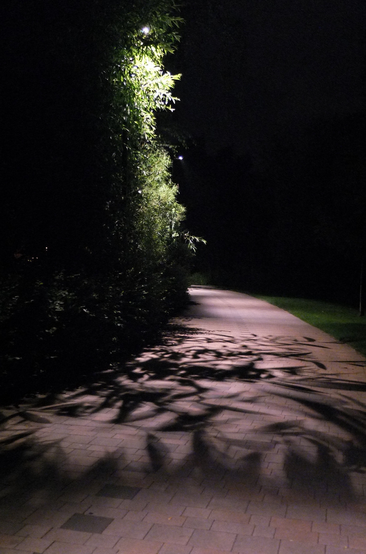 Nacht:schatten