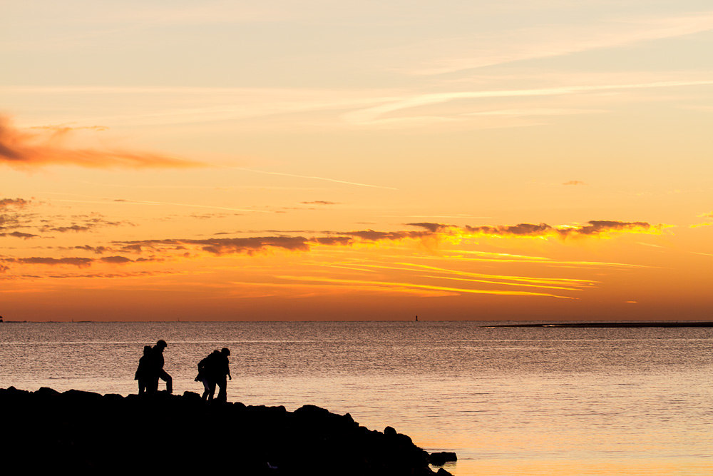 Nachtschwärmer am Strand