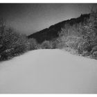 Nachtspaziergang bei Neuschnee