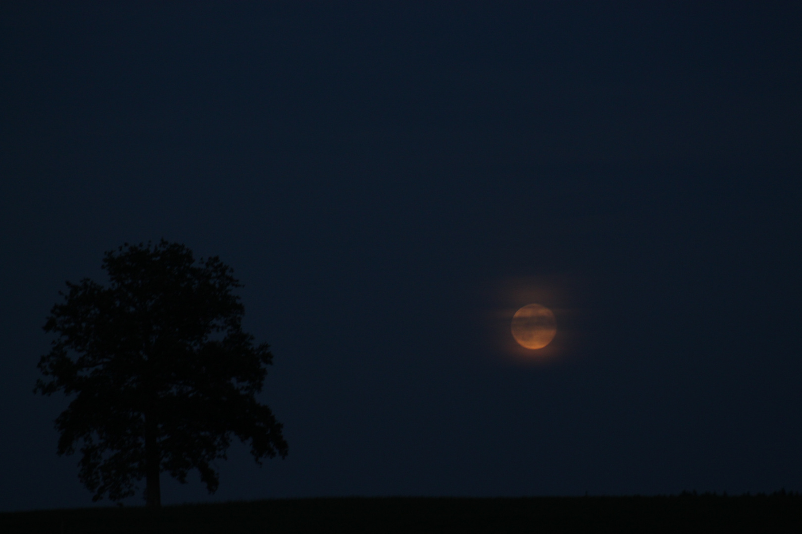 Nachtspaziergang bei Vollmond