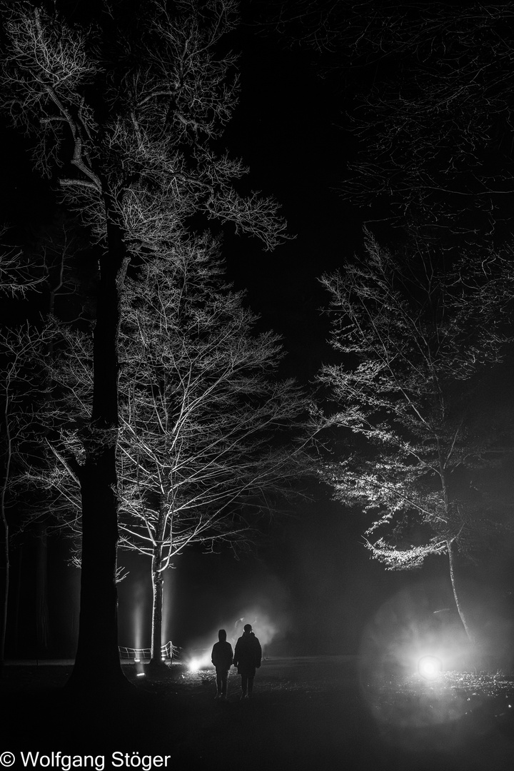  Nachtspaziergang durch die ILLUMINA Laxenburg 