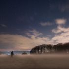 Nachtspaziergang im Nebel