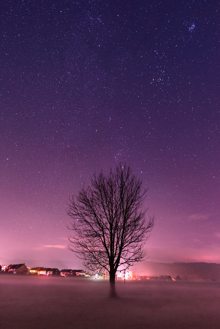 Nachtstimmung und Bodennebel