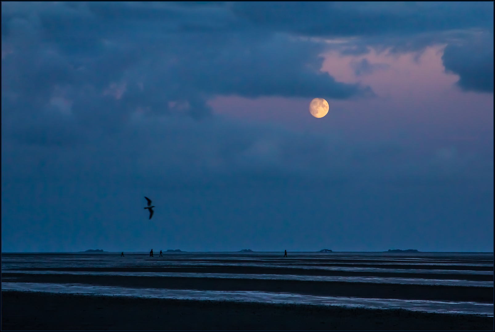 Nachtvogel am Meer... (m. Analysen und Deutungen) 