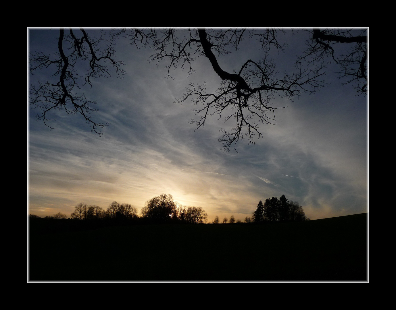 ~ Nachtwanderung 2 ~