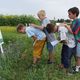 Nachwachsende Rohstoffe - Unterricht im Feld