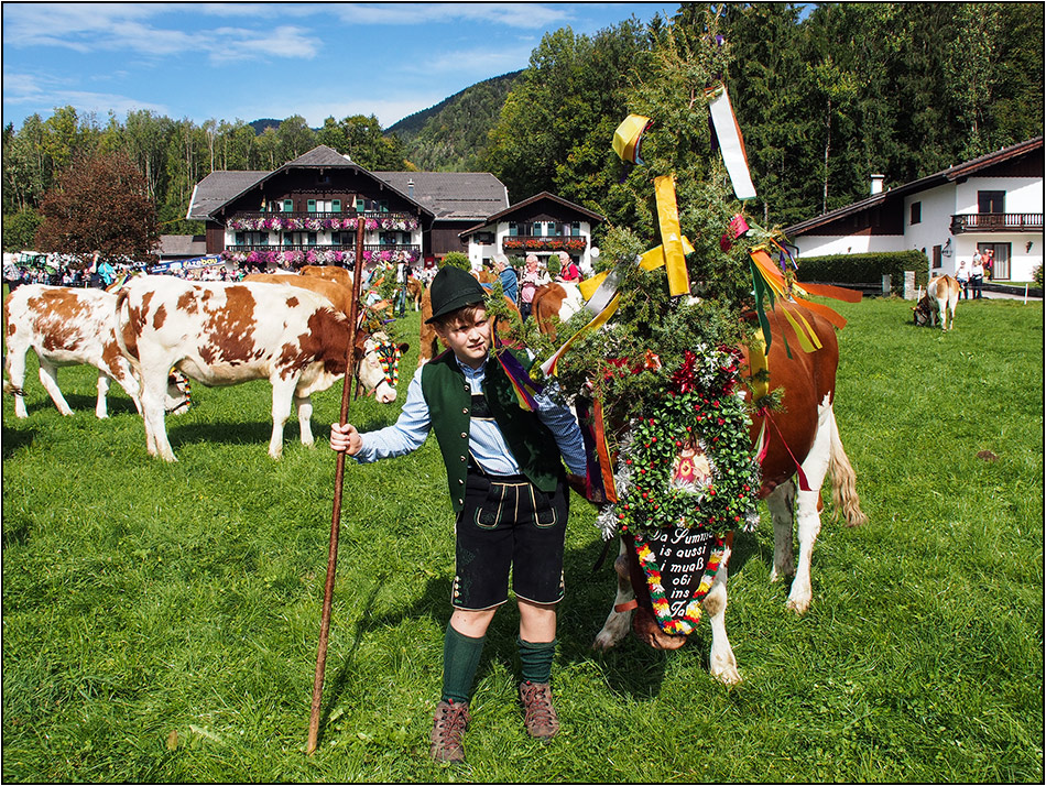 Nachwuchs-Almabtreiber ...