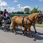 Nachwuchs an der Leine