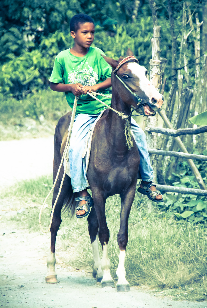 Nachwuchs Cowboy