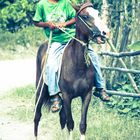 Nachwuchs Cowboy