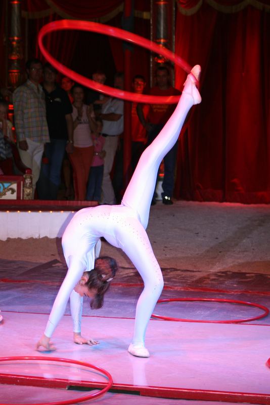 Nachwuchs im Circus Roncalli