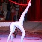 Nachwuchs im Circus Roncalli