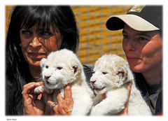 Nachwuchs im Safaripark Stukenbrock