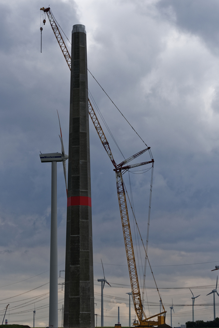 Nachwuchs im Windpark