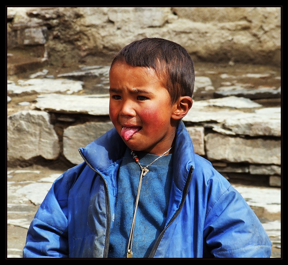 Nachwuchs-Tibeter