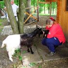 Nachwuchs zur Arterhaltung