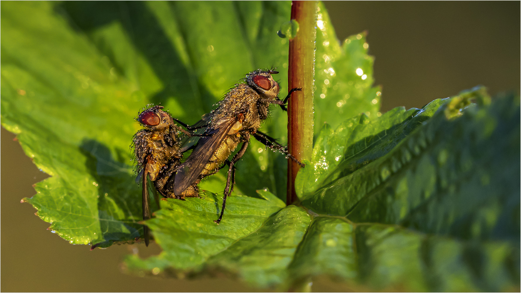 Nachwuchssicherung