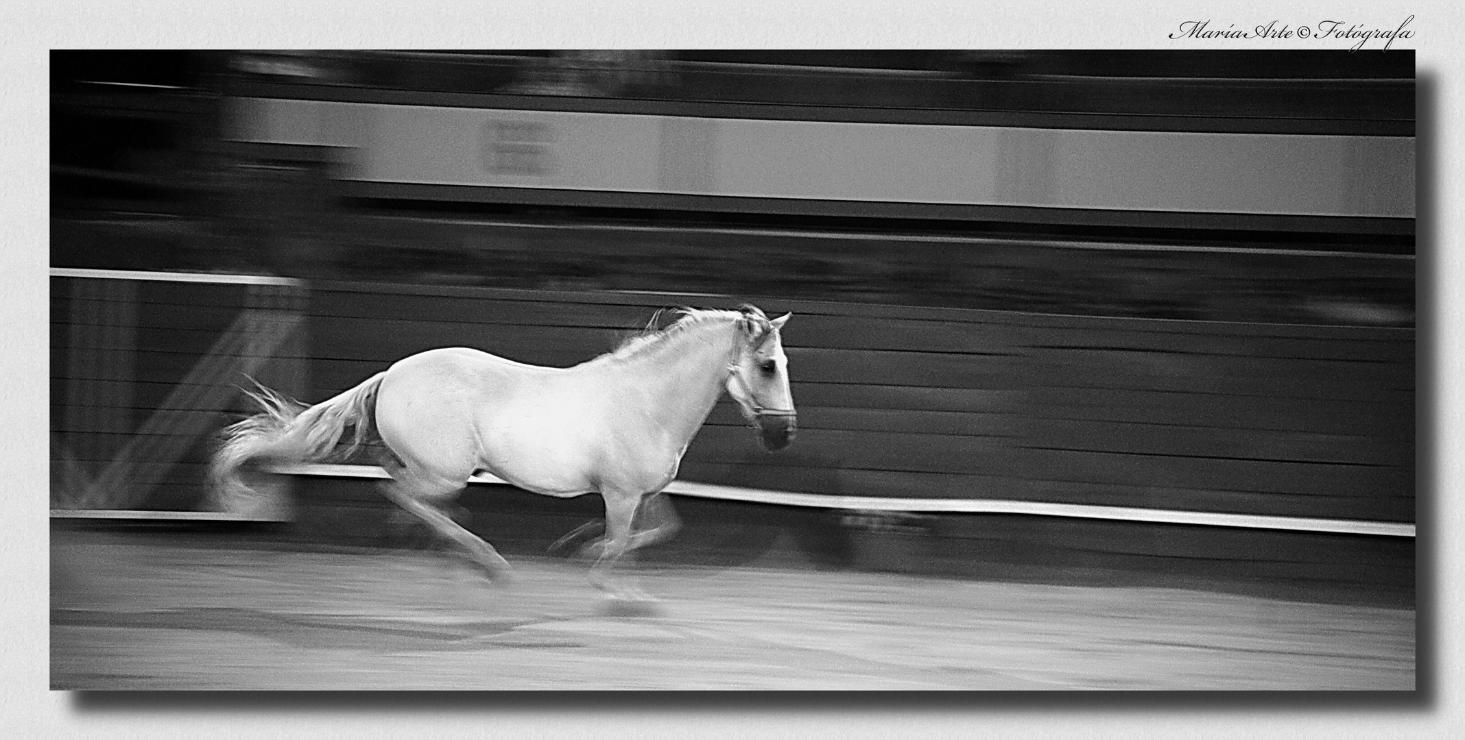 NACIDO PARA CORRER