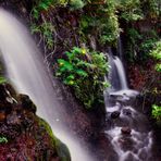 NACIENTES DE MARCOS Y CORDERO (LA PALMA). Dedicada a PILAR BRAVO SANCHEZ