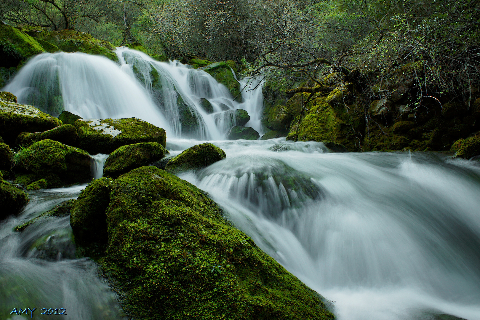 NACIMIENTO DEL CADAGUA. Dedicada a DELFIN PELÁEZ PELÁEZ.