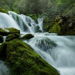 NACIMIENTO DEL CADAGUA. Dedicada a DELFIN PELÁEZ PELÁEZ.