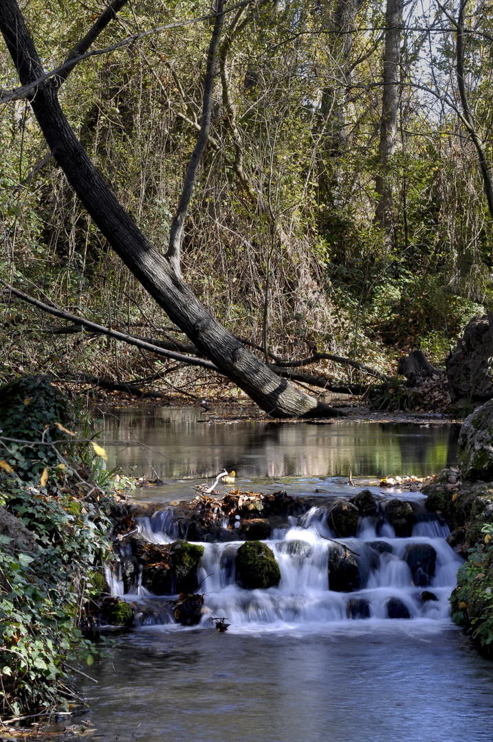 Nacimiento del Hueznar 2