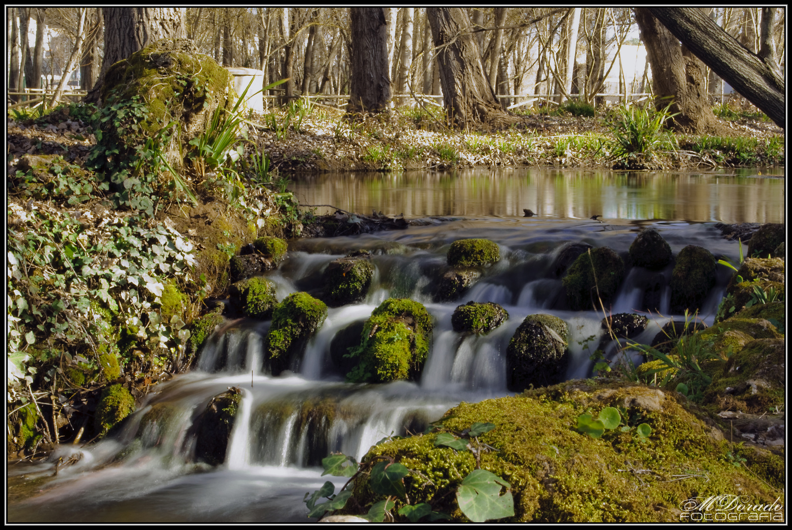 Nacimiento del Huéznar