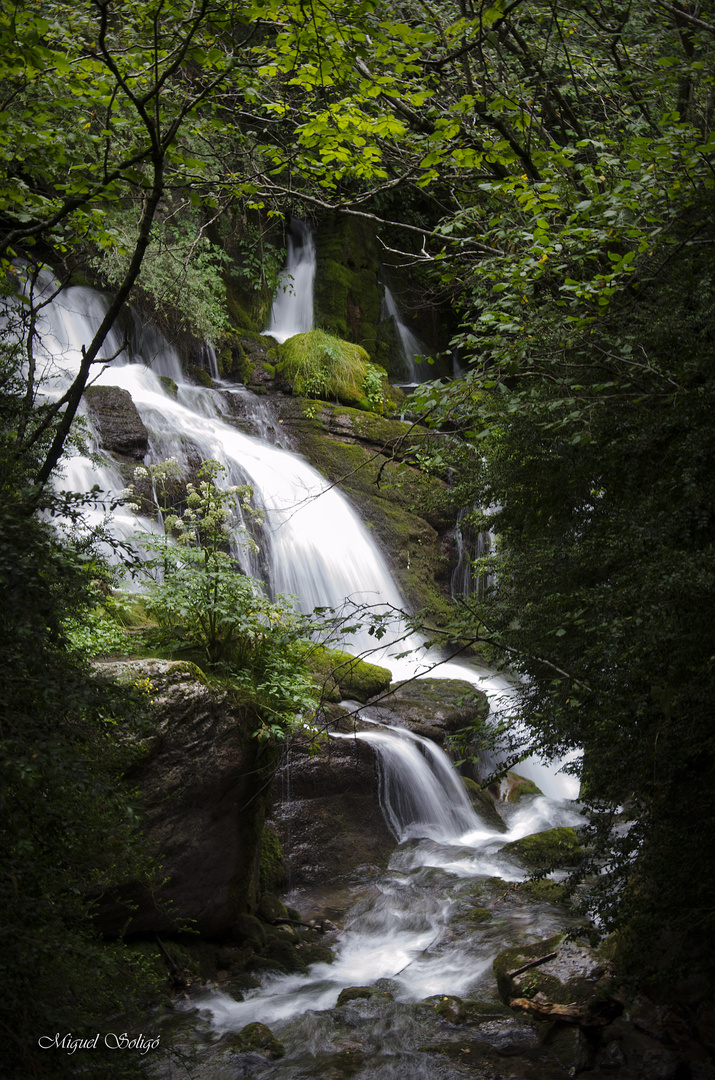 Nacimiento del llobregat