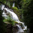 Nacimiento del llobregat