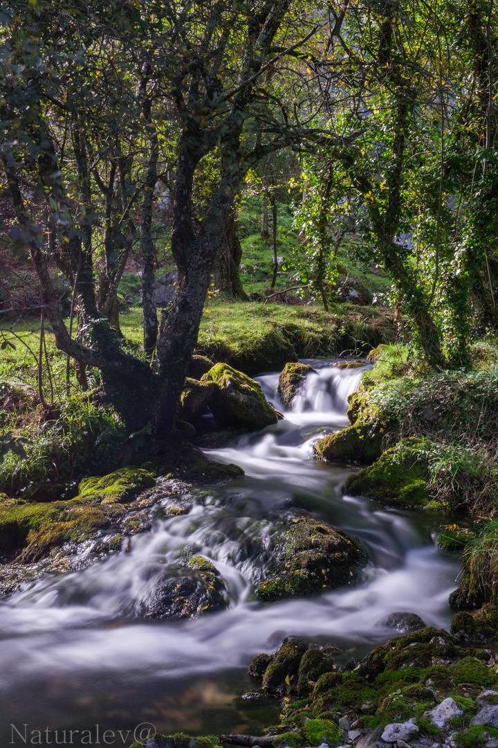 Nacimiento del rio Soba