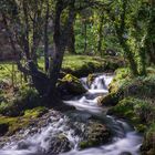 Nacimiento del rio Soba