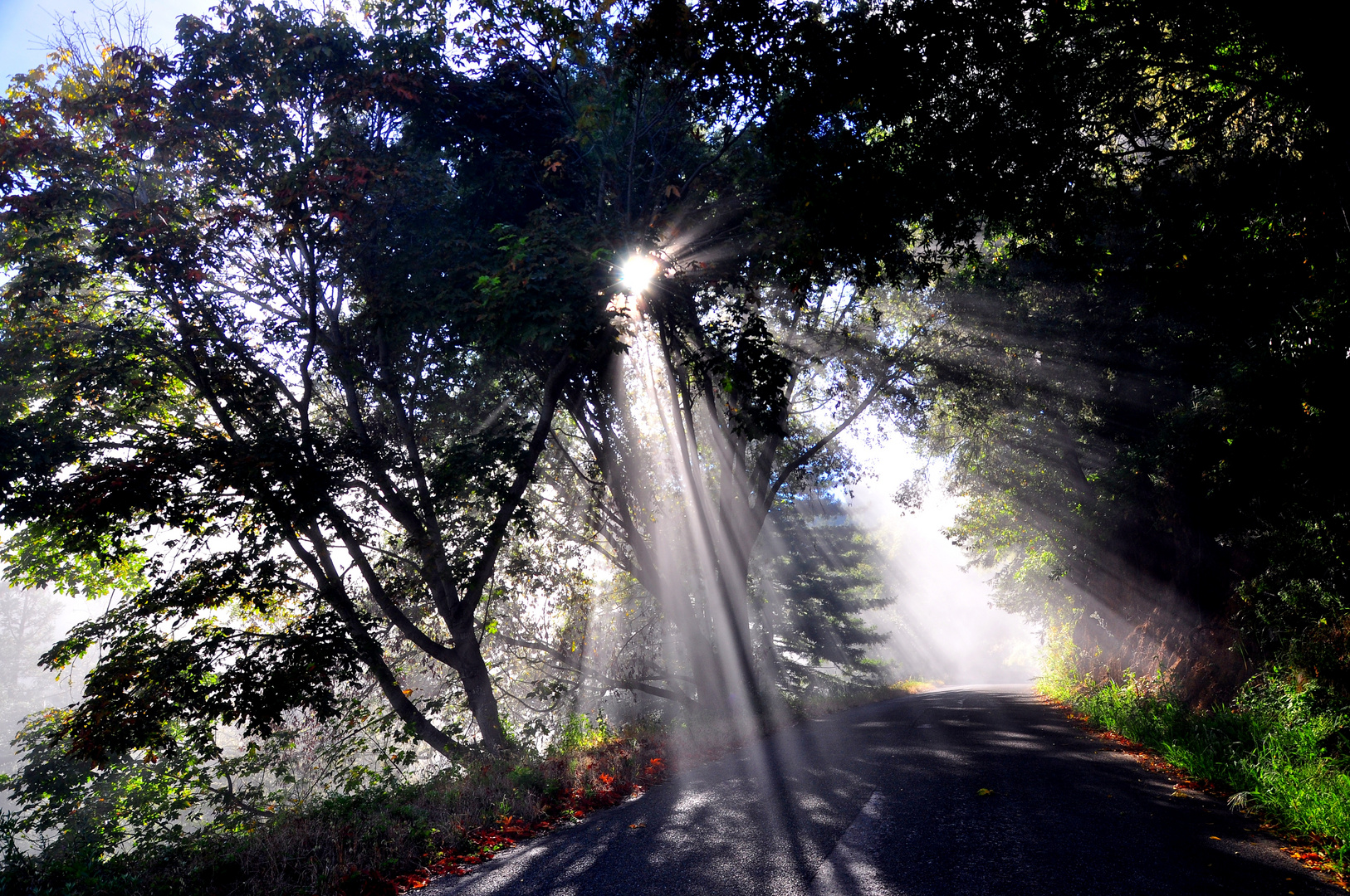 Nacimiento-Fergusson Road